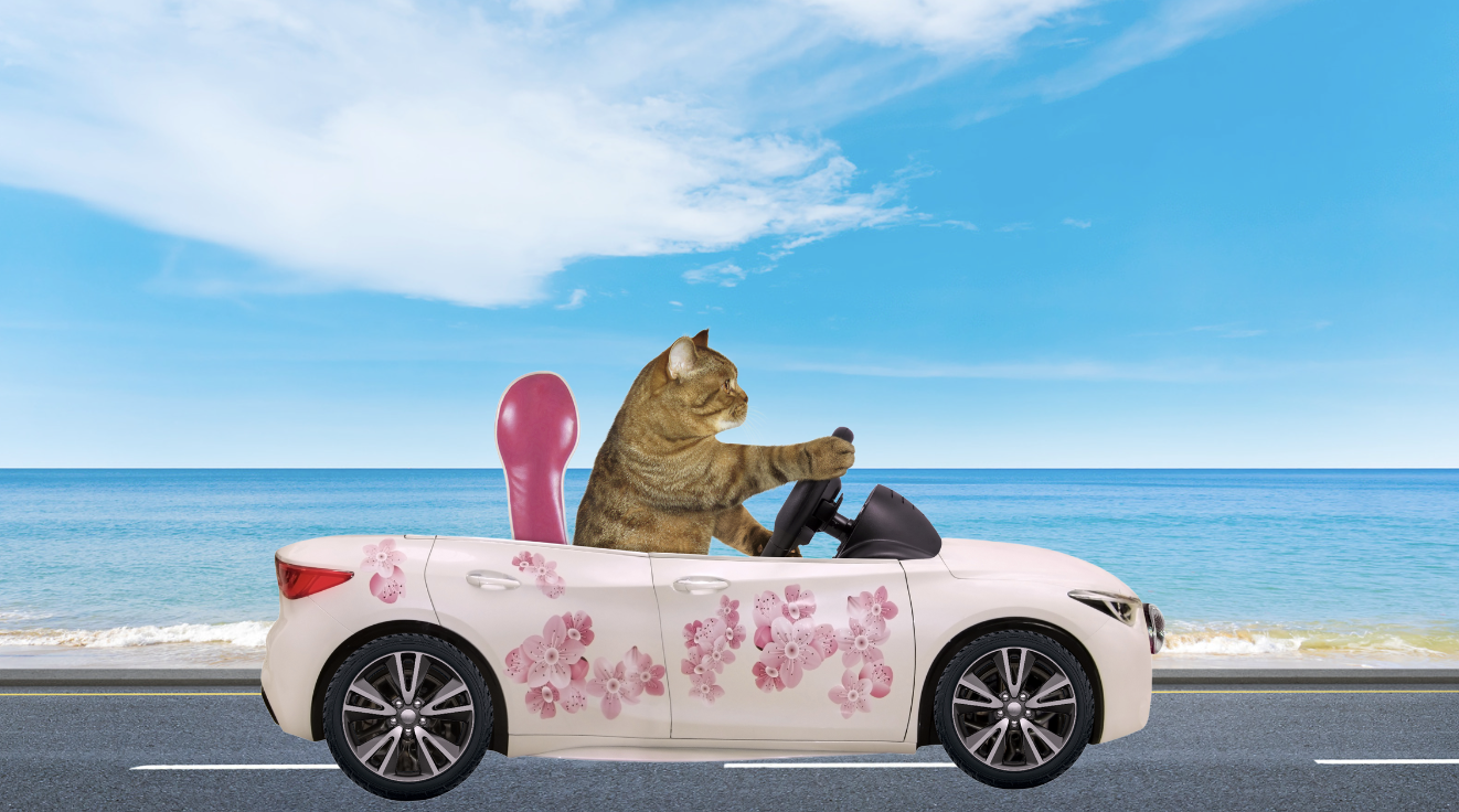 The Invention Of The Wheel: Why It’s Impossible To Imagine Life Without it