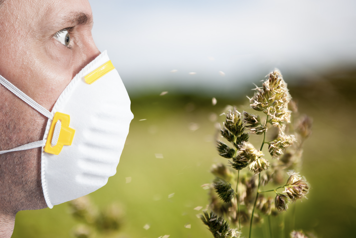 Allergies Are Your Body Overreacting